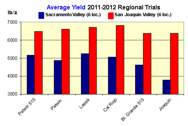 Patwin 515 yield